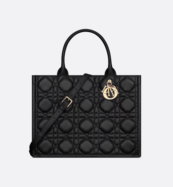 CHRISTIAN DIOR Medium Dior Book Tote 11