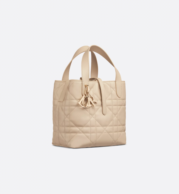 CHRISTIAN DIOR Small Dior Toujours Vertical Tote Bag 4
