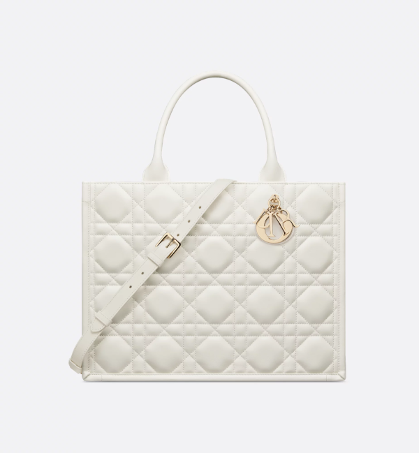 CHRISTIAN DIOR Medium Dior Book Tote 12