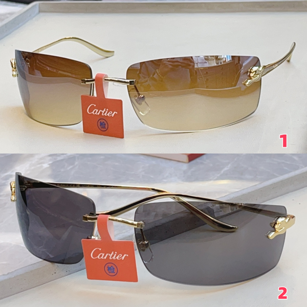 Cartier Glasses CT0503S 71-18-115