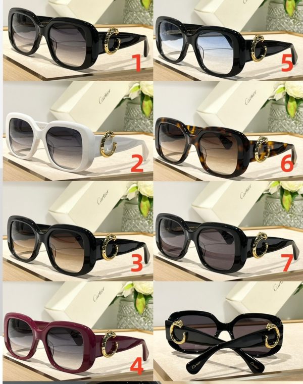 Cartier Glasses 51-21-145